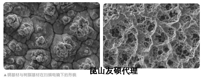 江门蔡司江门扫描电镜